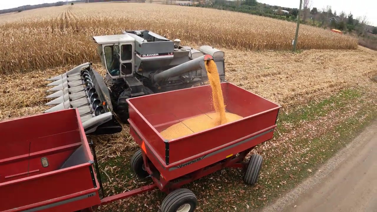 Efficient Allis-Chalmers - Gleaner Farm Operation - Deutz-Allis L3 - AC 7060 - Corn Harvest 2020 5K