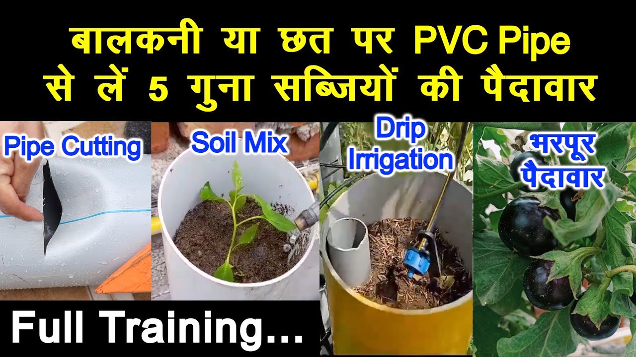PVC Pipe से बालकनी या छत पर ले सब्ज़ियों की 5 गुना तक पैदावार, Step By Step Full Training
