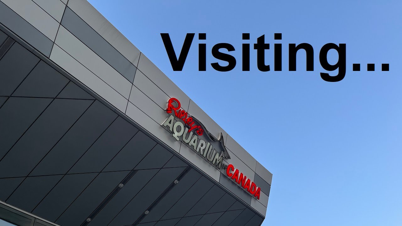 Visiting...Ripley's Aquarium of Canada