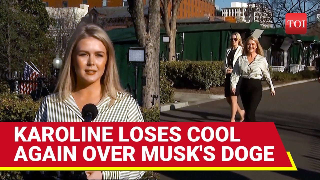 'You're Hounds...': KAROLINE LEAVITT Shuts Down Reporter On Musk DOGE Cabinet Meet