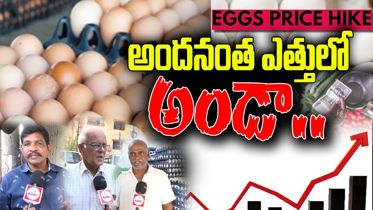 కొండెక్కి వెక్కిరిస్తున్న..కోడిగుడ్డు ధరలు | Egg Price Huge Hike | ADBC Telugu