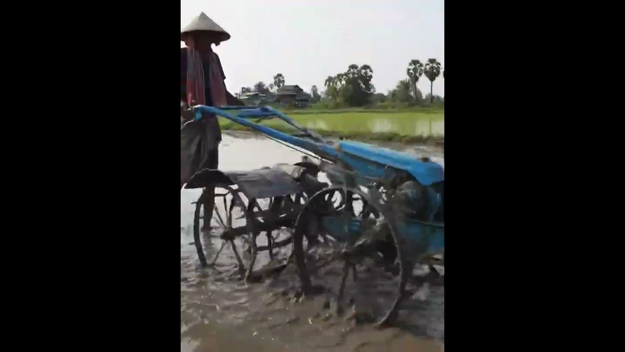 #RiceFieldTractor