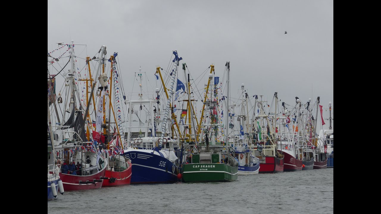 Geschmückte Kutter in Büsum