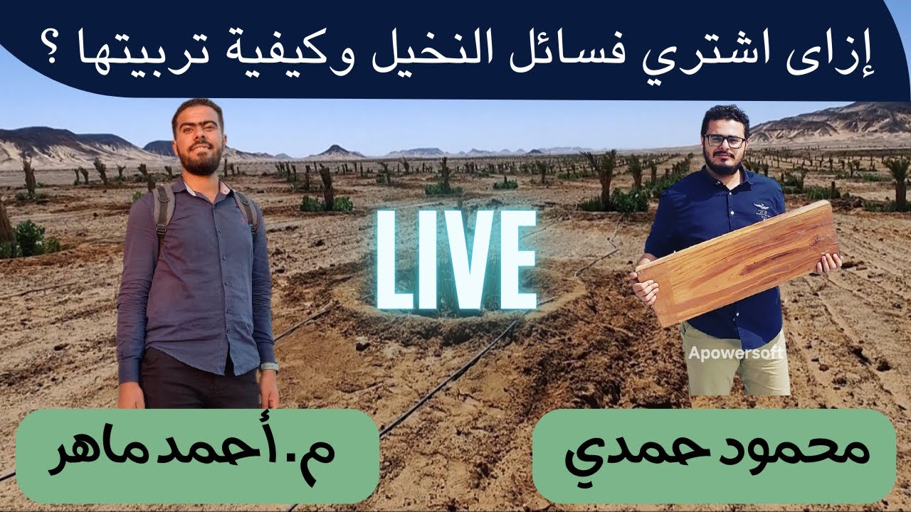 أزاى اشتري فسايلي بطريقة صحيحه من غير مشاكل مع المهندس احمد ماهر