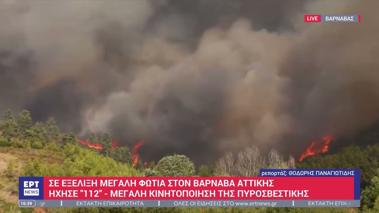 Σε εξέλιξη μεγάλη φωτιά στον Βαρνάβα Αττικής - Ήχησε το 