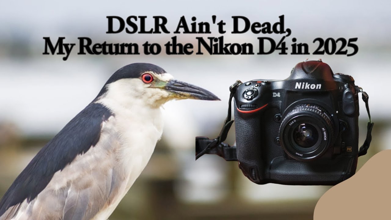 DSLR Ain't Dead, My Return to the Nikon D4 in 2025