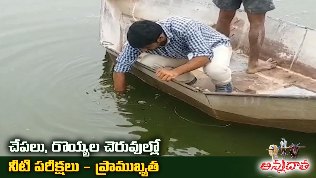 Water Quality Tests of Shrimp & Fish Ponds | చెరువుల్లో  నీటి పరీక్షలు