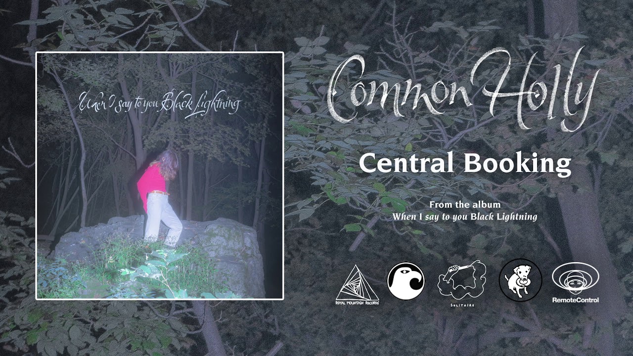 Common Holly - Central Booking