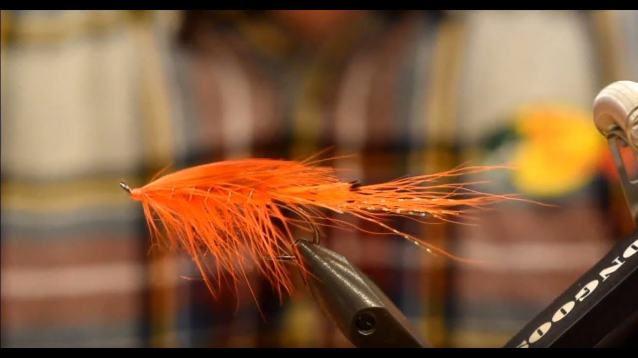 Friday Night Flies - General Practitioner