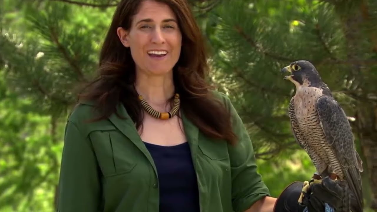 Julia Clarke y Mary Anning: Mujeres que Transformaron la Paleontolog&iacute;a (Aves, Dinosaurios y F&oacute;siles)