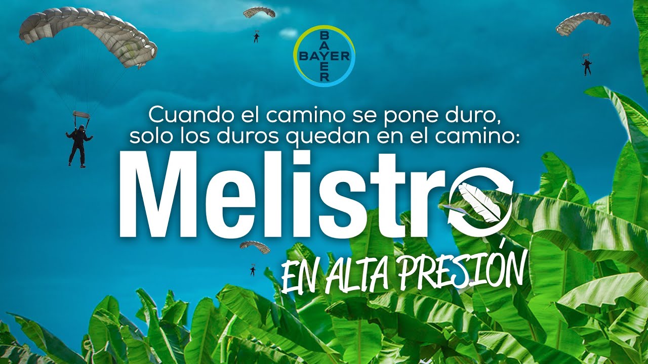 Conoce a MELISTRO, Fungicida Sistémico | Agro Bayer Ecuador