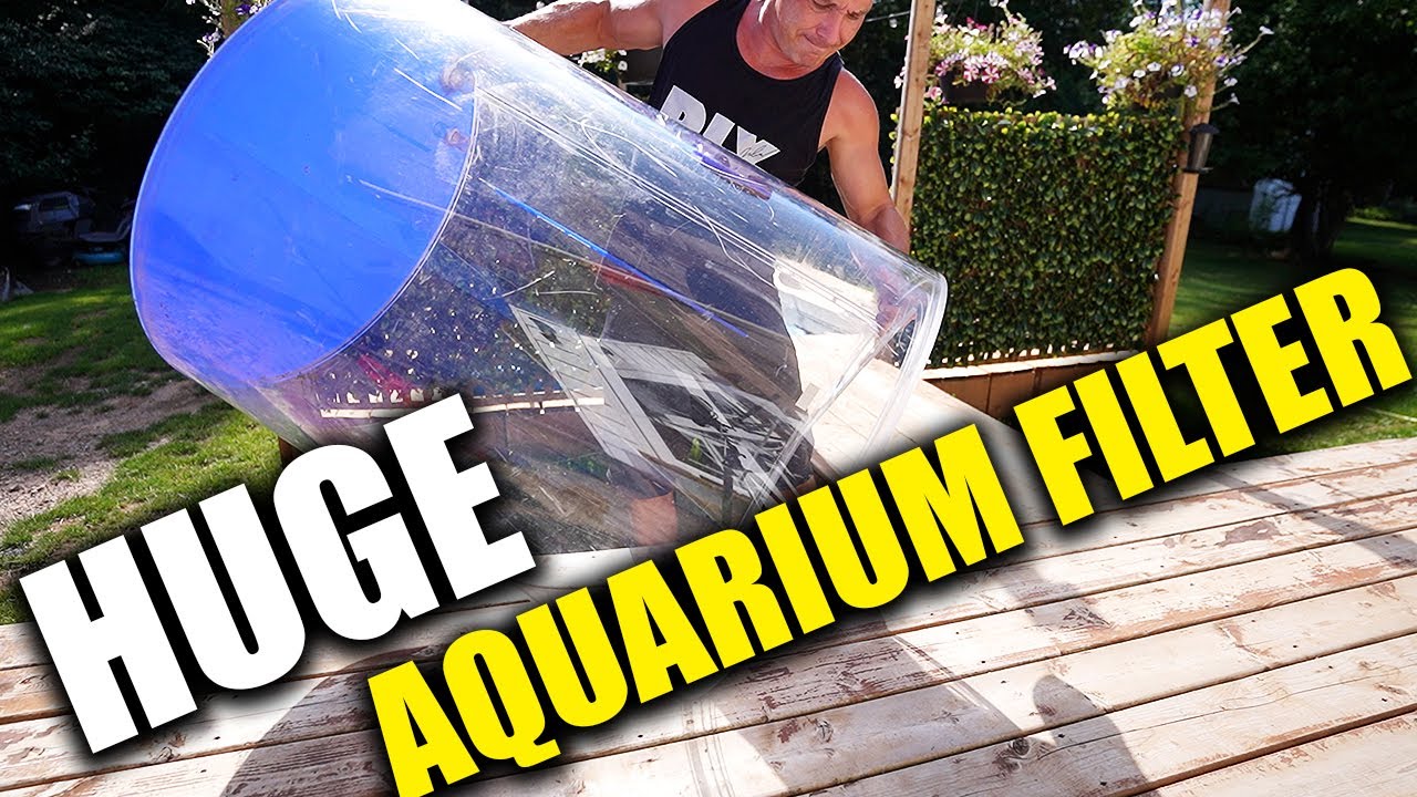 From AQUARIUM to MASSIVE FISH FILTER