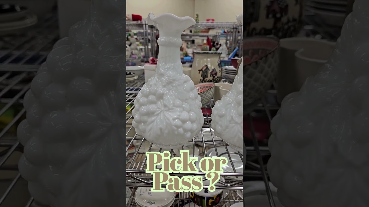 Pick or Pass??   #vintage #reselling #homedecor  #thrifting #thriftstorefinds  #thriftshopping