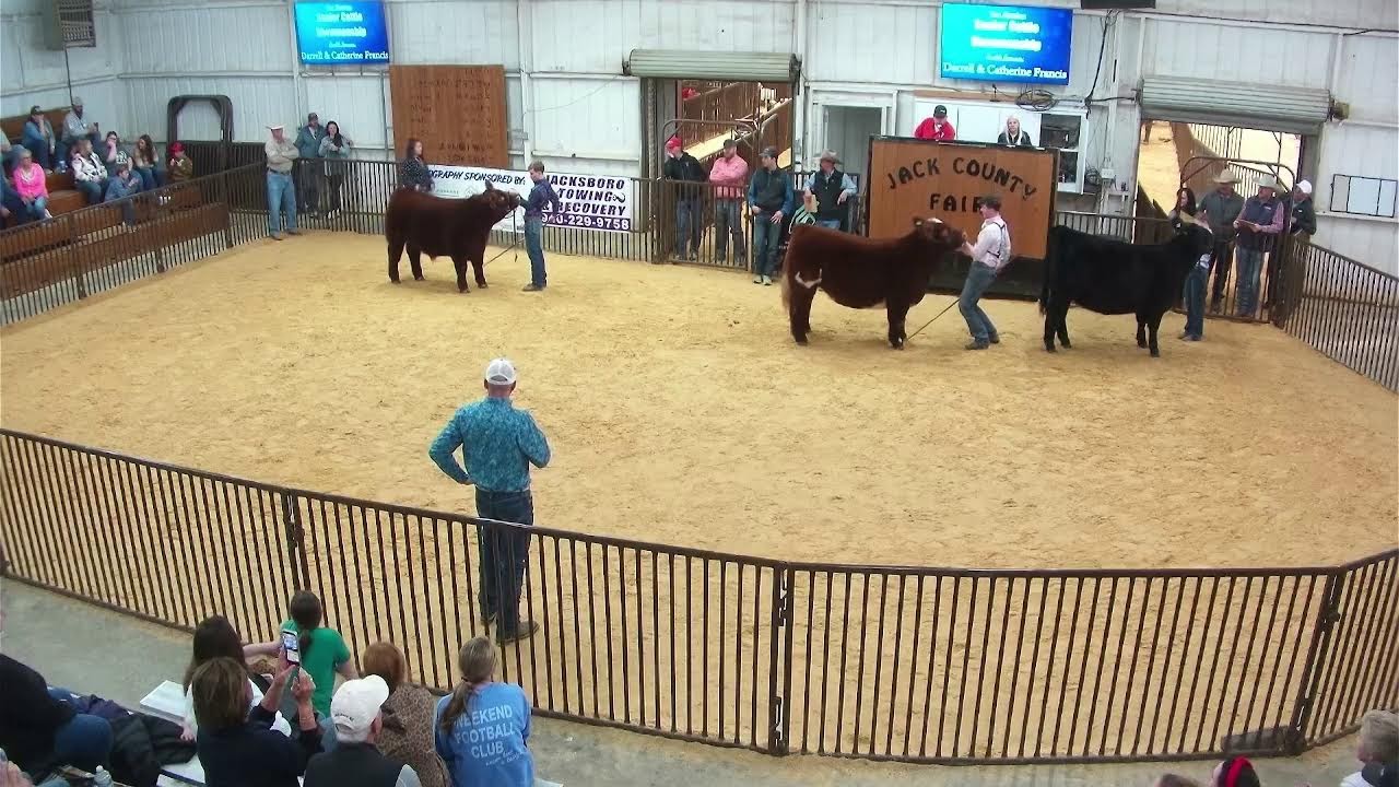 Cattle Show 2026