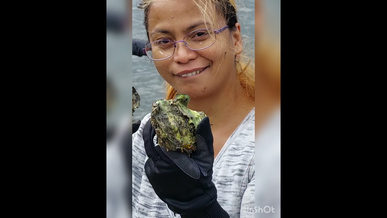Jeg og min datter hadde plukket østers i Oslofjord Norge