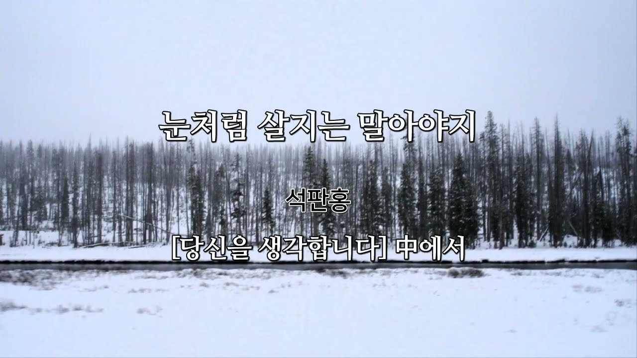 눈처럼 살지는 말아야지