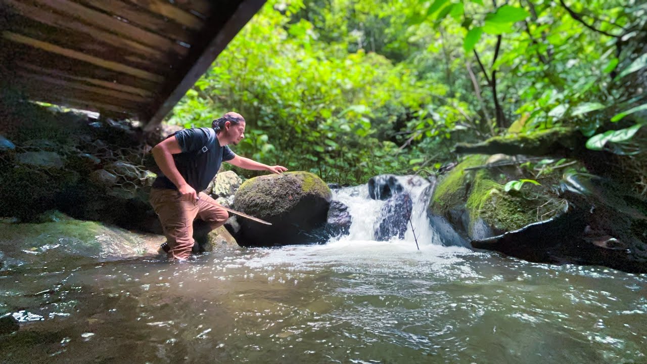 STRANDED IN CENTRAL AMERICA'S RAINFOREST