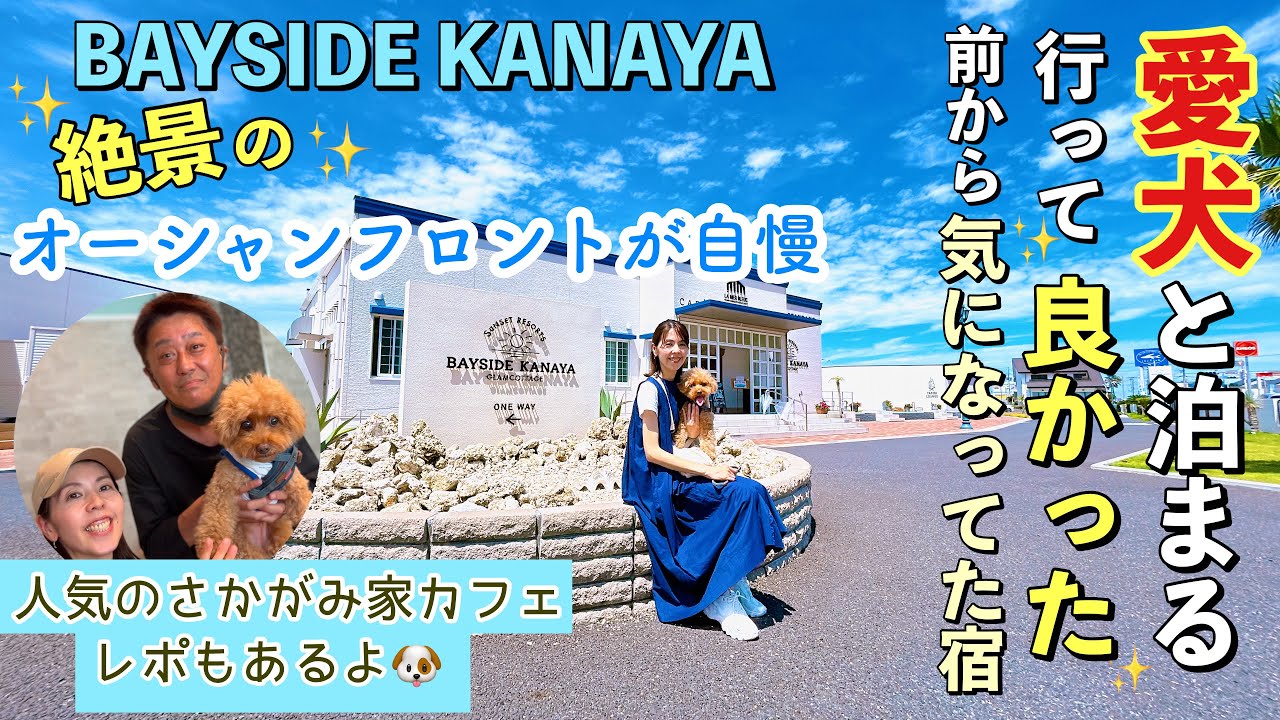 ペットとお泊まり🐶絶景オーシャンフロントのグランコテージが自慢✨ 【ベイサイド金谷】話題のさかがみ家カフェであの人に会えました😍