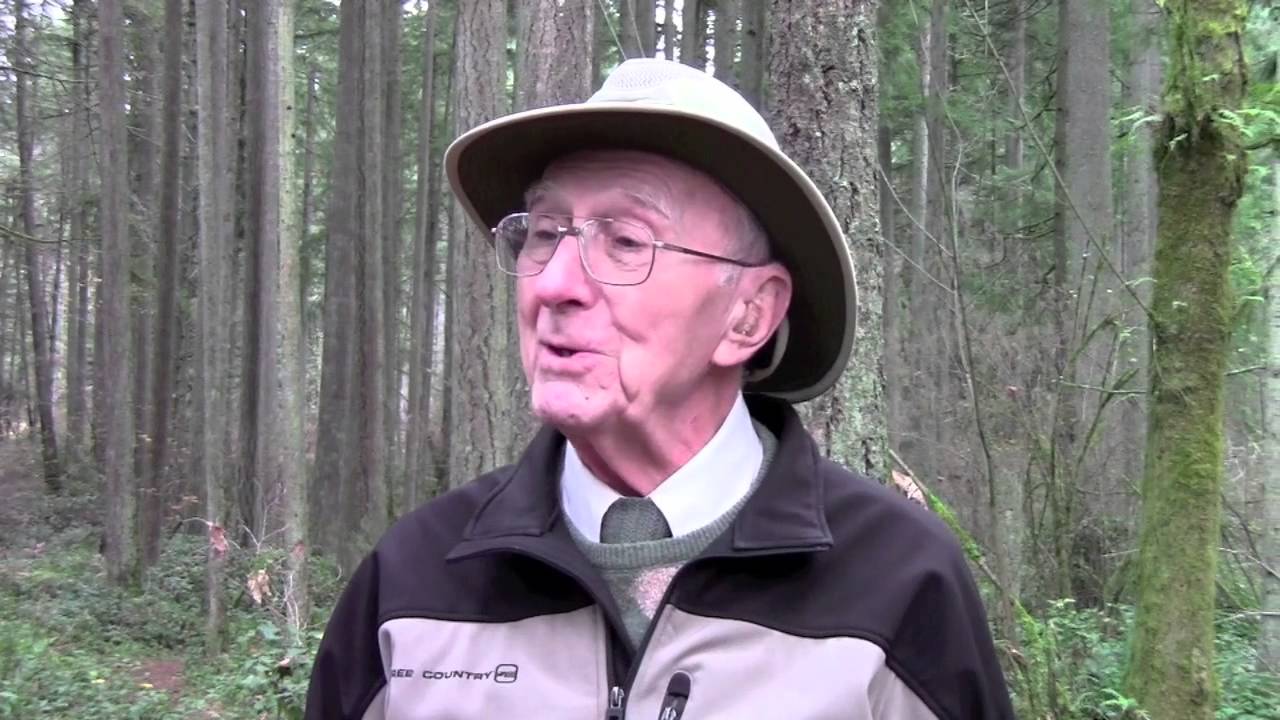 LBA Woods