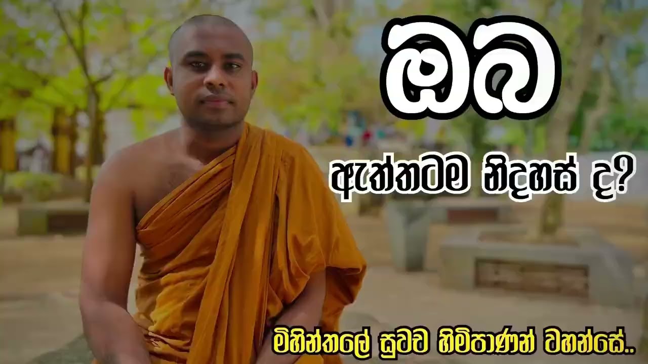 #fyp #trending #foryou #අහන්න #දකින්න #නිවෙන්න ඔබ ඇත්තටම  නිදහස්ද?