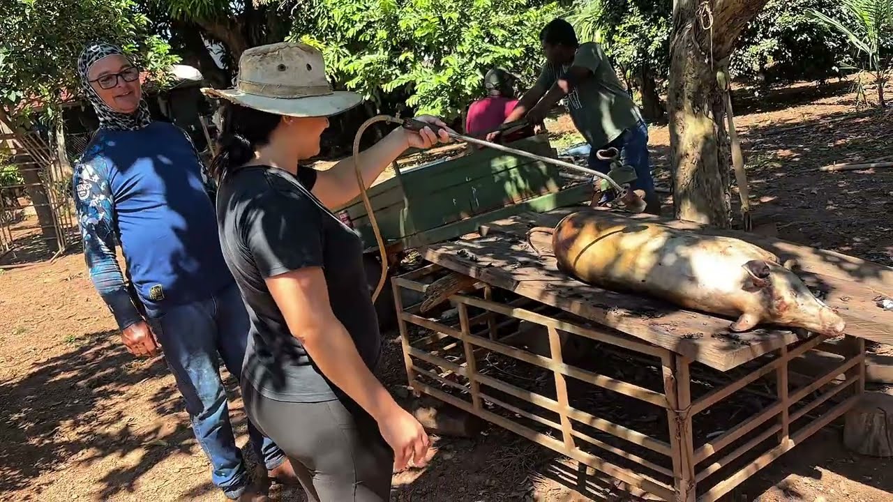UM DIA INTEIRO TRABALHANDO NA RO&Ccedil;A COMIGO | Rotina real de no interior de Goi&aacute;s 