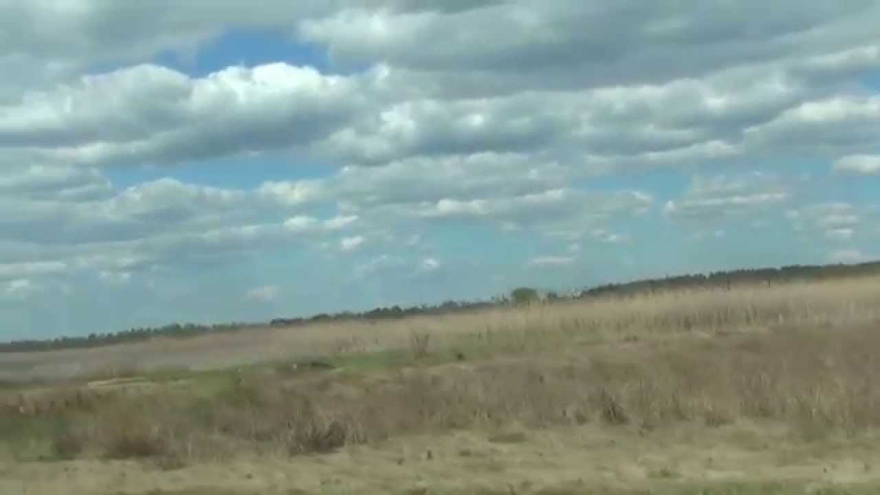 Озеро Біле. Старовижівський район, Волинь.