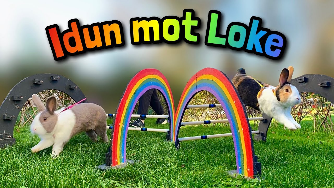 Loke & Idun tävlar mot varandra~ ALLT GÅR FEL