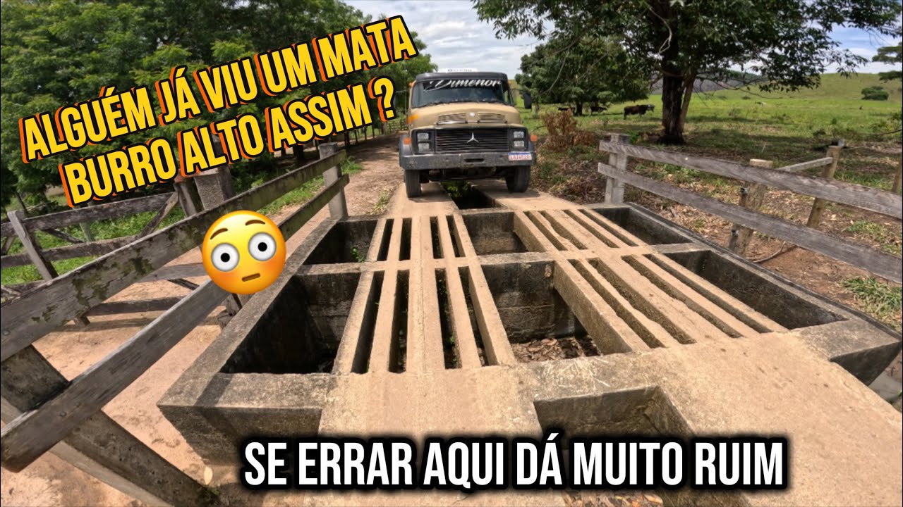 Dia a dia de um motorista leiteiro 🚛🇧🇷 já viram um mata burro desse ? 😳