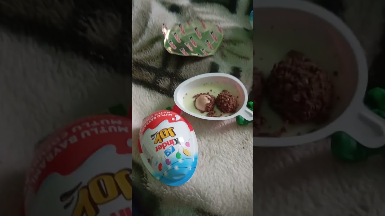 Мне подарили два киндера