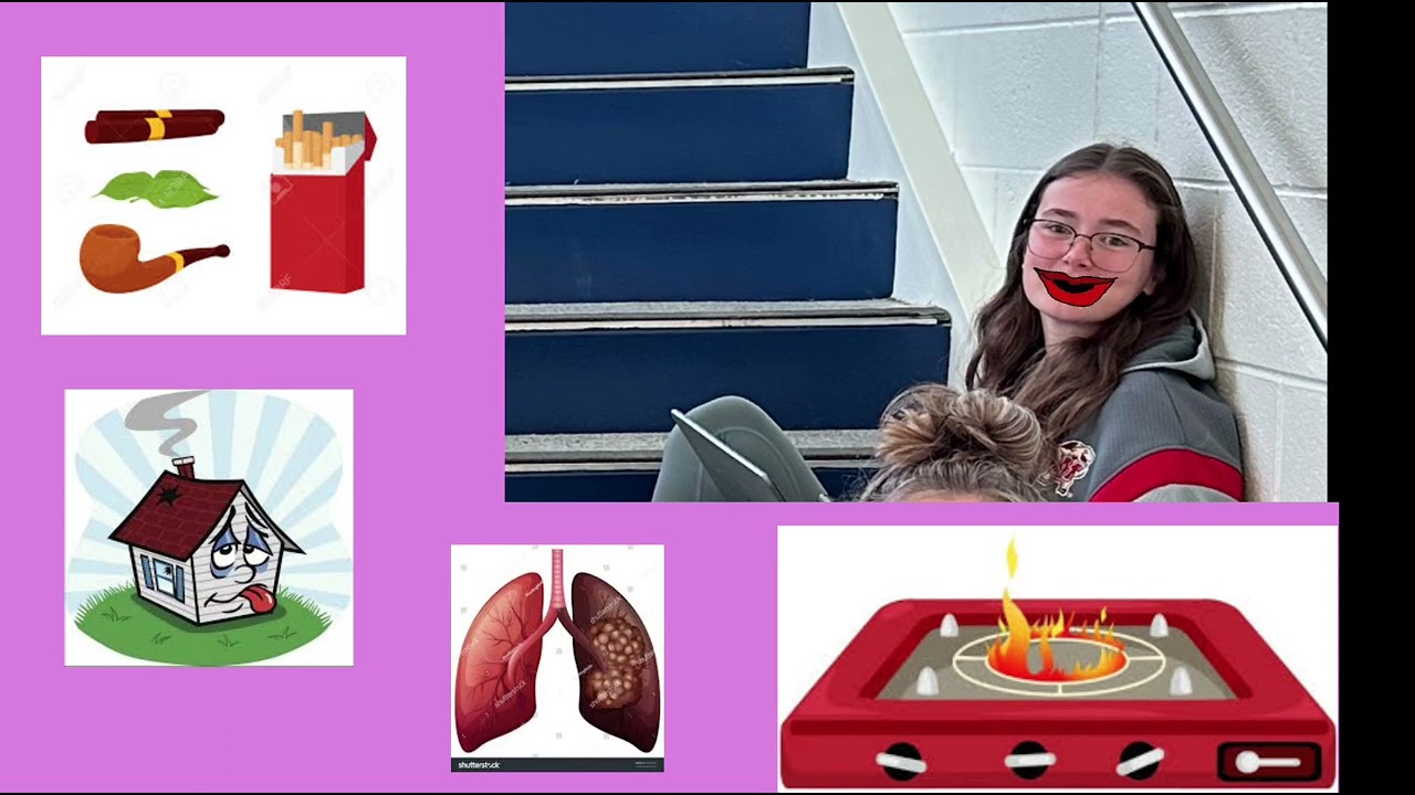APES air pollution project