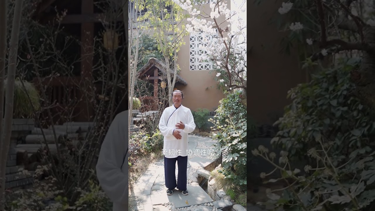 太極拳適合很多人群， 練起來。 #太極拳 #武當 #鍛鍊 #健康