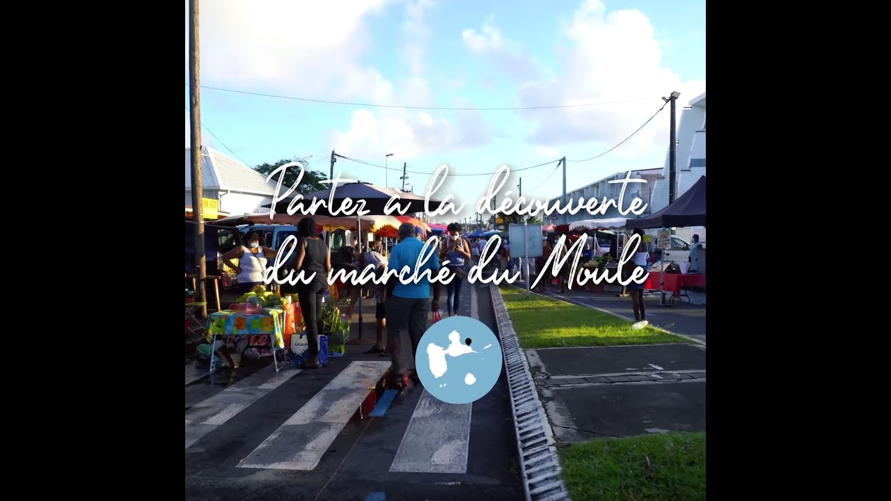 Partez à la découverte du marché du Moule