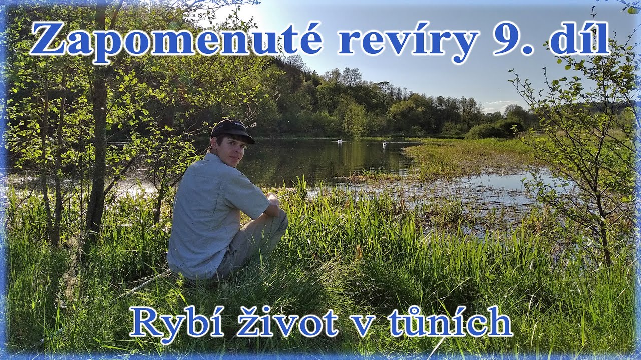 Zapomenuté revíry - Rybí život v tůních