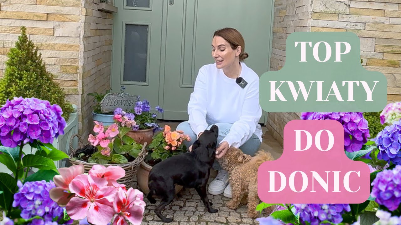 TOP NAJLEPSZYCH KWIATÓW DO DONIC NA BALKON I TARAS W SŁOŃCU ORAZ CIENIU