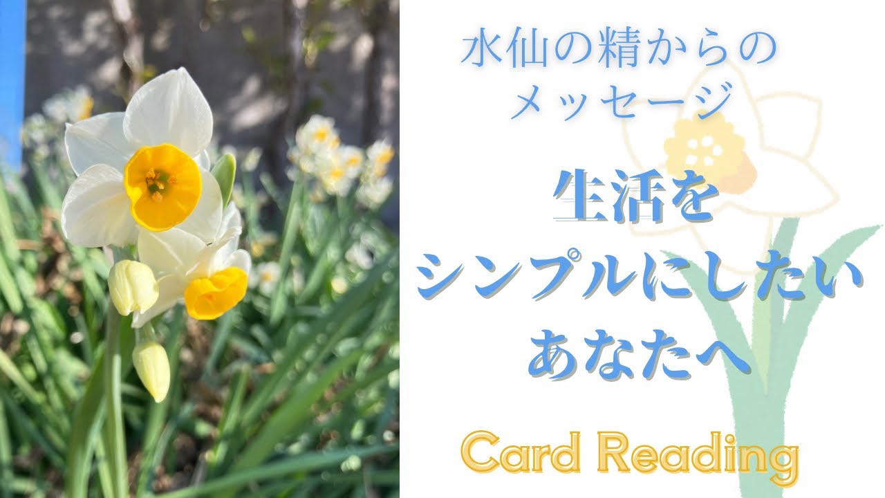 【3択】生活をシンプルにしたいあなたへ🕊️水仙の精からのメッセージ🌿🤍