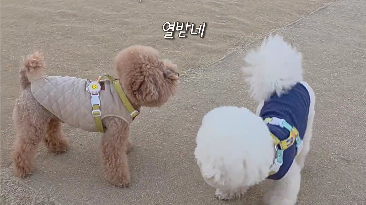 넌 잡히면 죽는다
