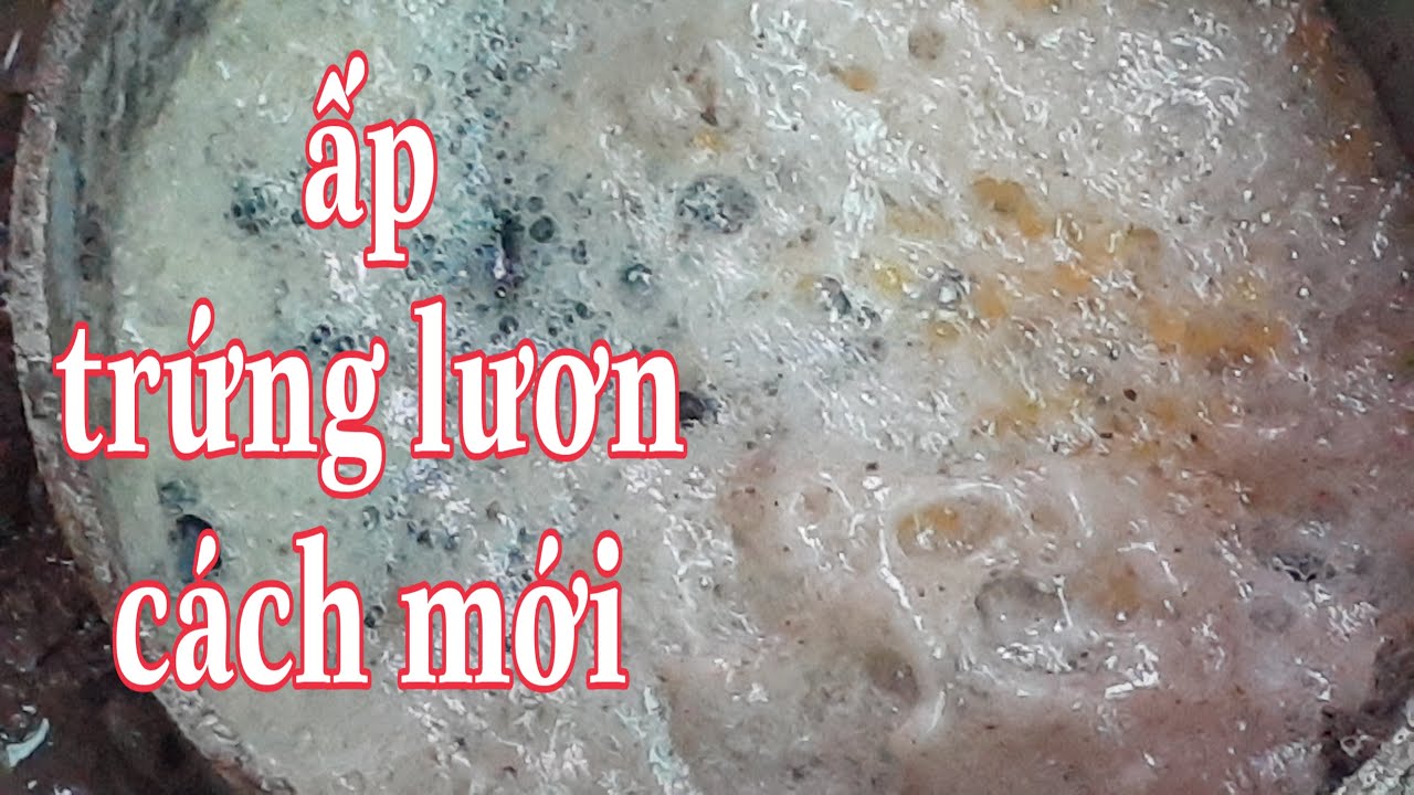 lươn đẻ nhiều và chia sẻ cách làm