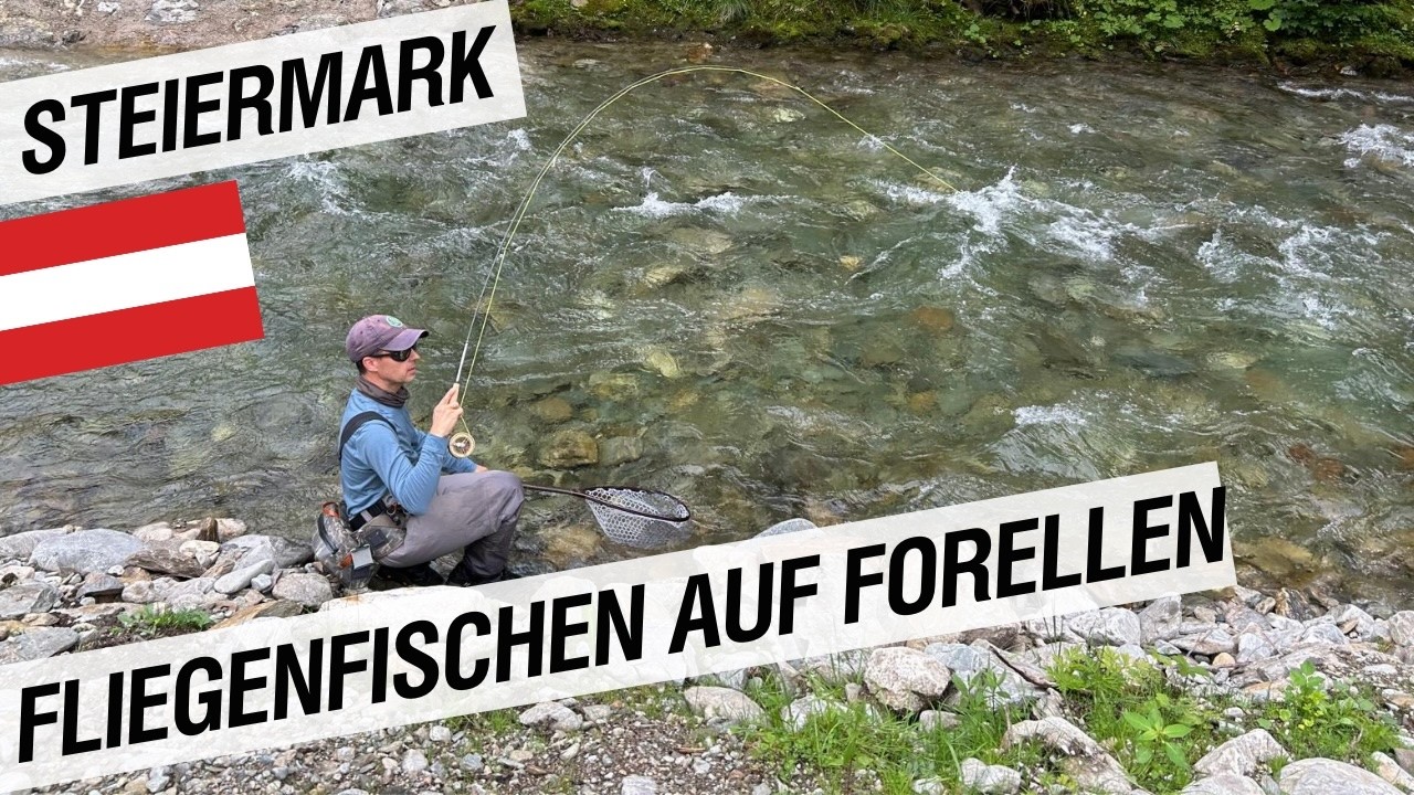 Fliegenfischen am Untertalbach
