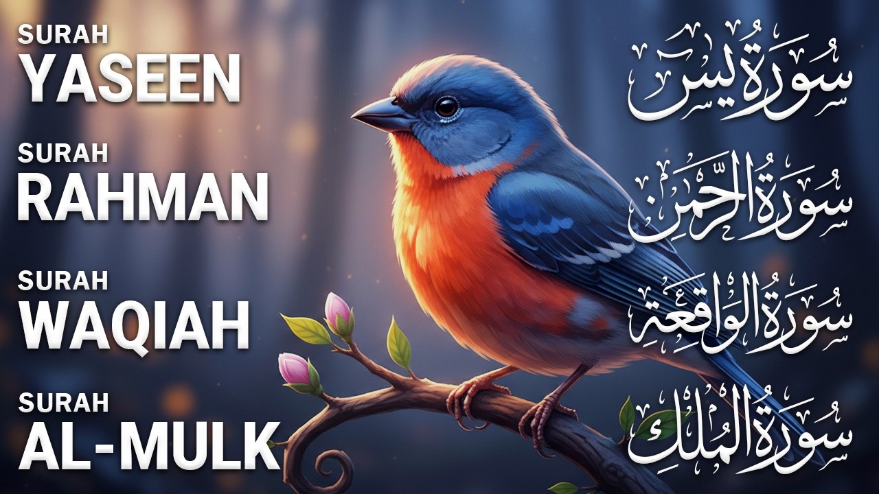 Very Nice Voice Surah Yaseen (Yasin) | Surah Rahman | Surah Waqiah | Surah Mulk | Ep57