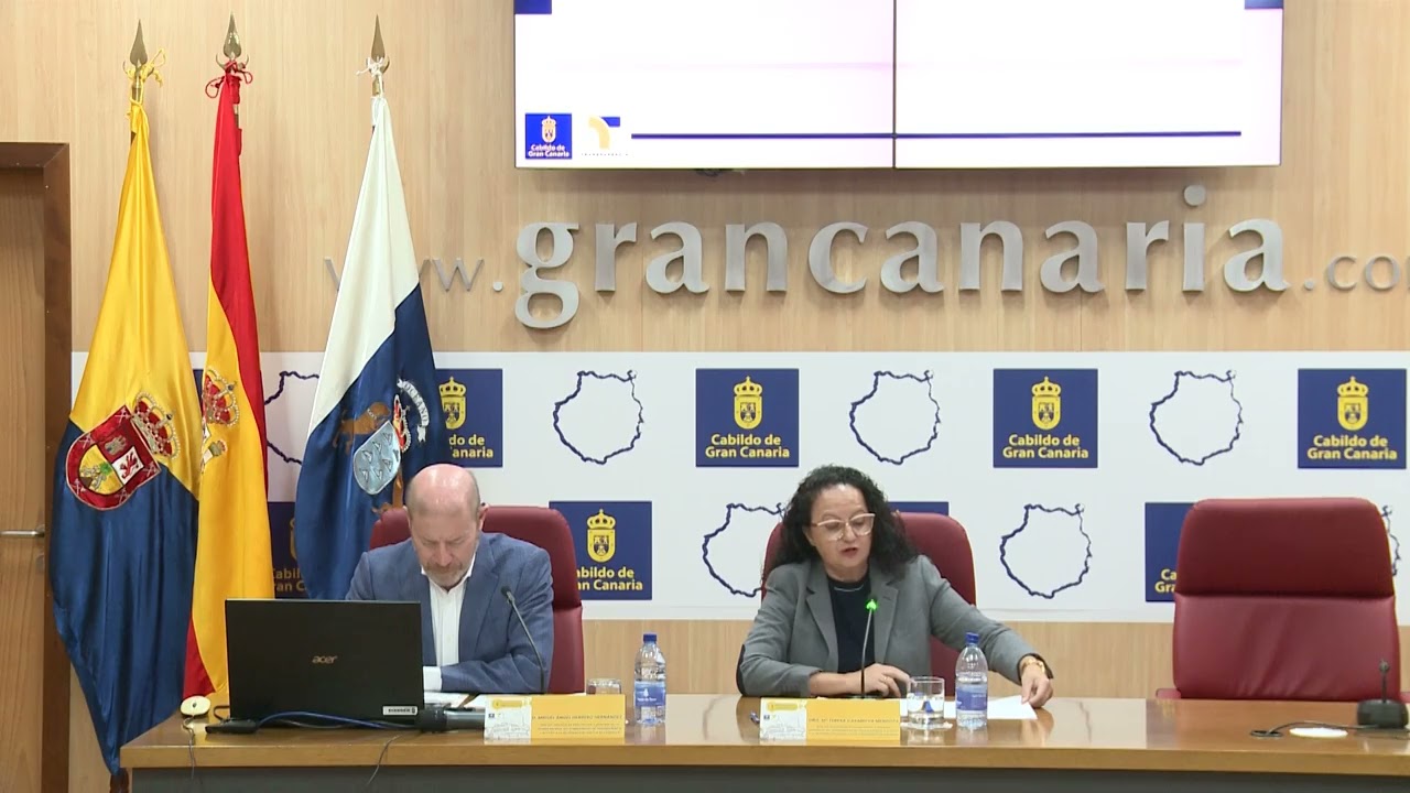 Transparencia. Límites al derecho de acceso y publicidad activa