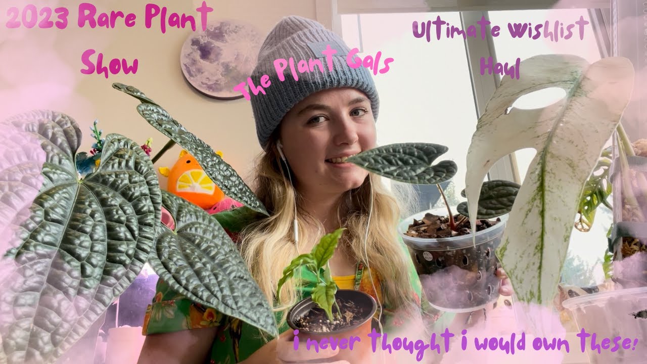 🍃2023 Rare Plant Show Haul🍃 | 2nd Annual Edmonton Aroid and Vivarium Show