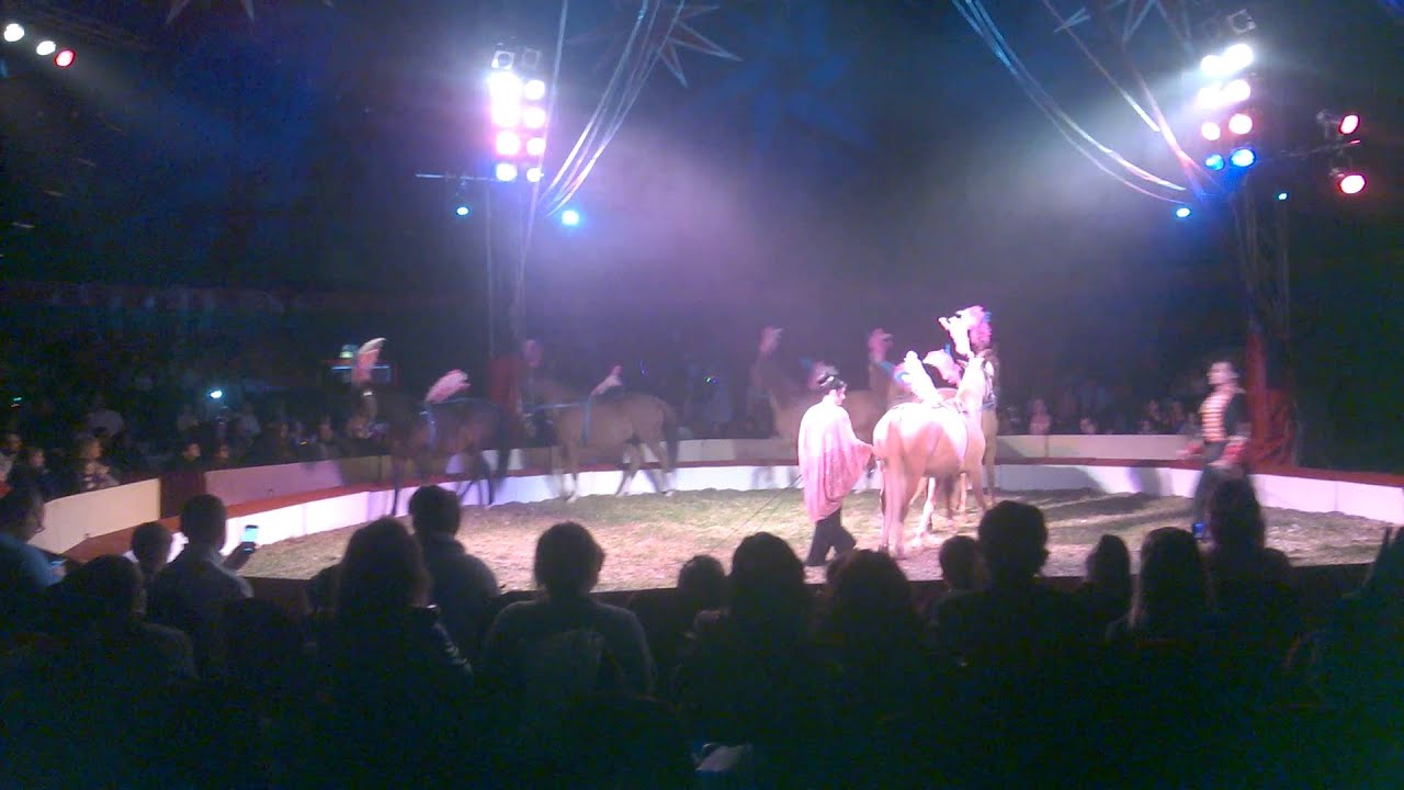 More horses! - Zippos circus