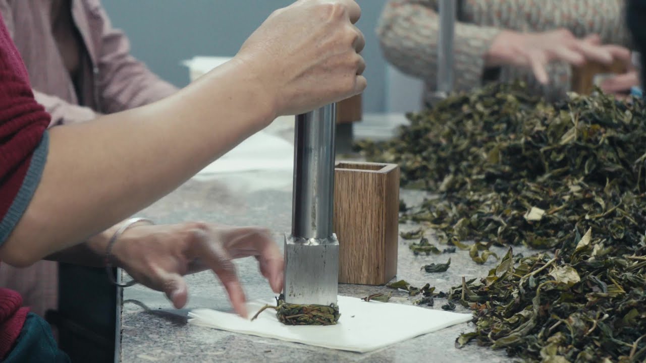 How Oolong Tea Is Made: Zhangping Shui Xian