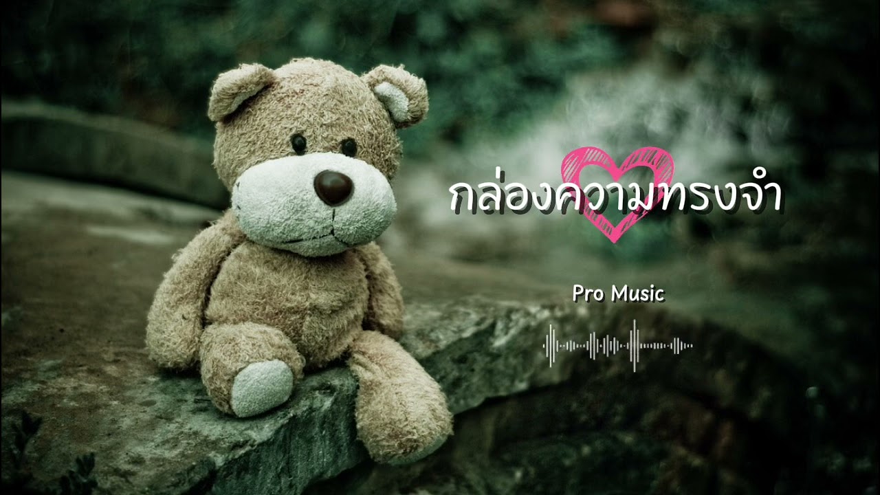 กล่องความทรงจำ - Pro Music 