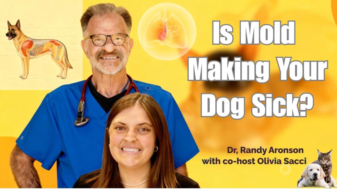 Stop Giving Your Dog THIS Antibiotic!