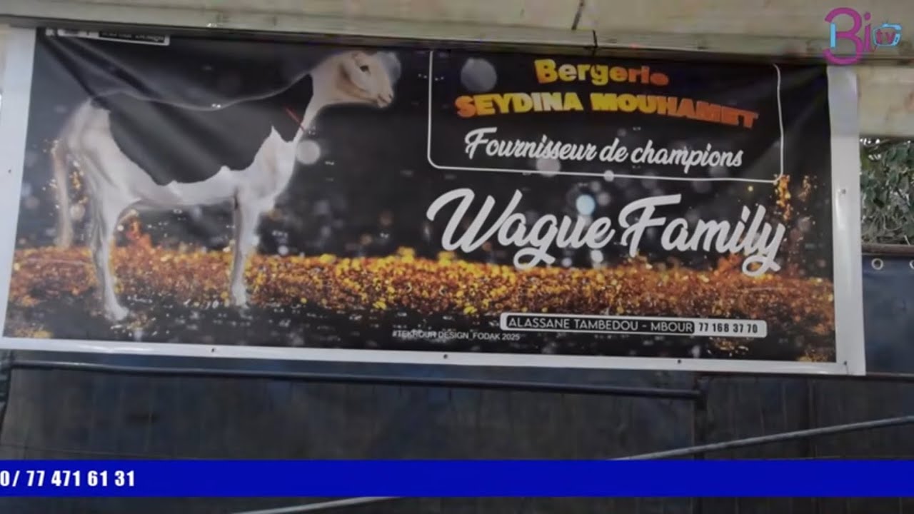 🇸🇳FODAK 2026🇸🇳BERGERIE SEYDINA MOUHAMED