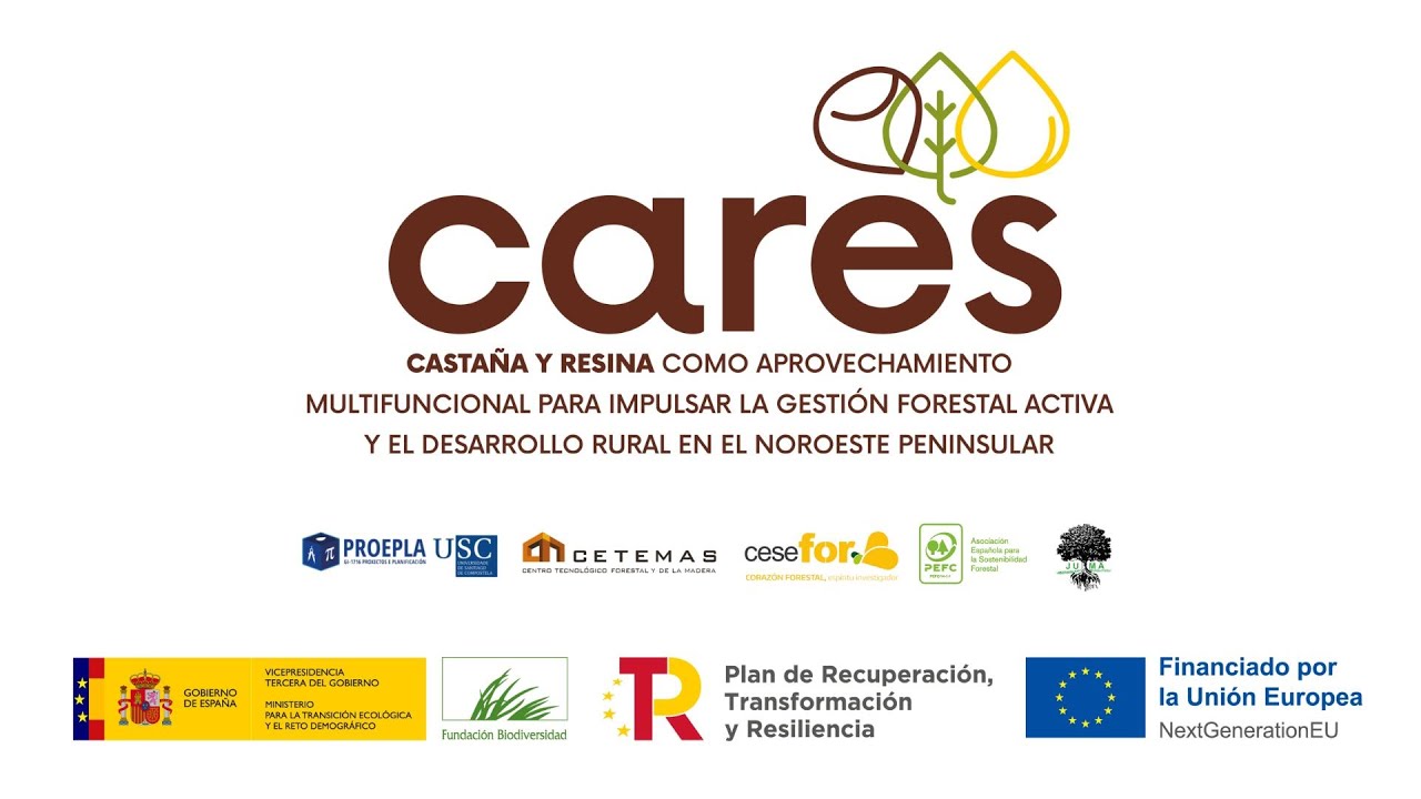 Proyecto CARES: Presentación de resultados