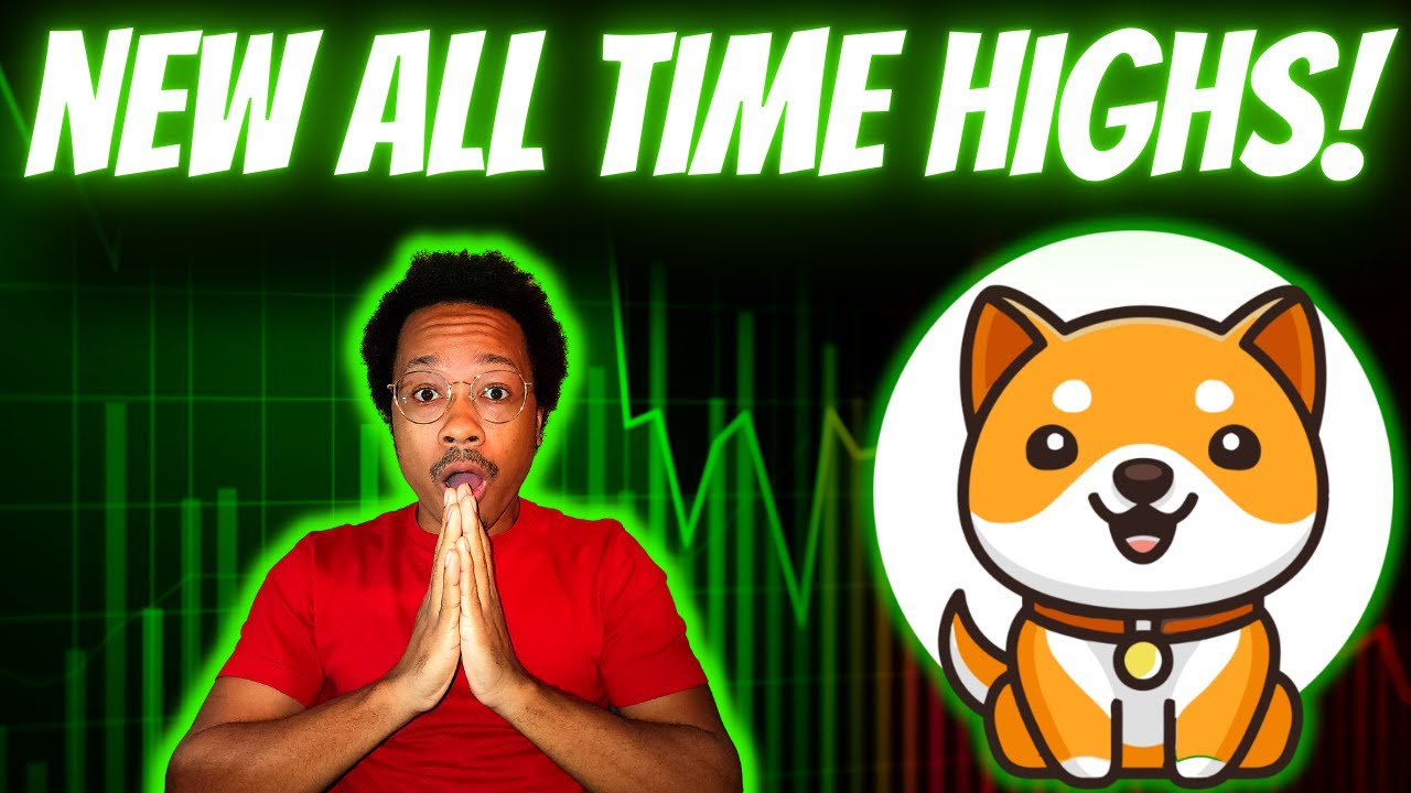 The NEXT Baby Doge PUMP Could Bring NEW All Time HIGHS