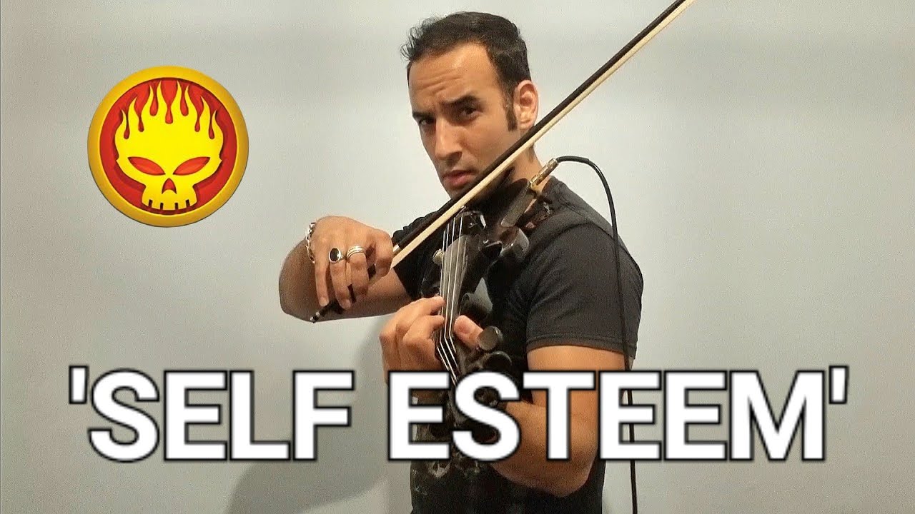 'Self Esteem' - Offspring - Violin Cover by Aviram Uzi