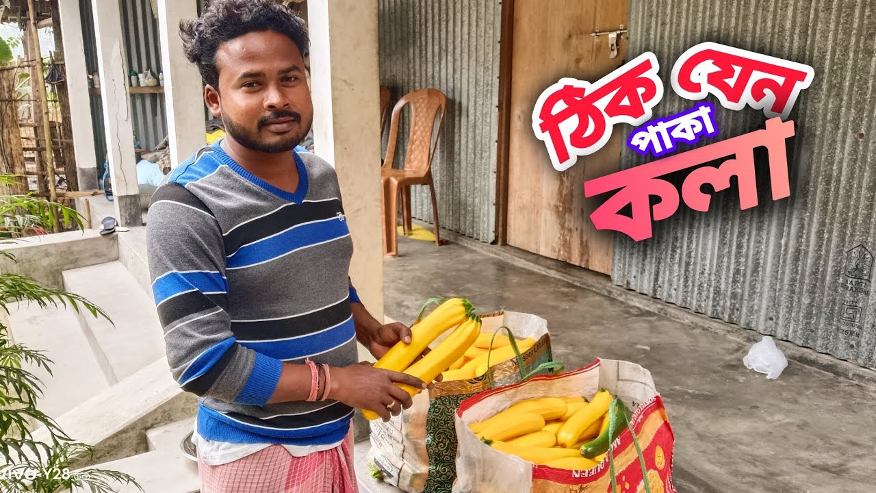 চাষীর জমিতে অবাক করা নতুন ধরনের কিছু সবজি । লাভবান কৃষক । Farmer!